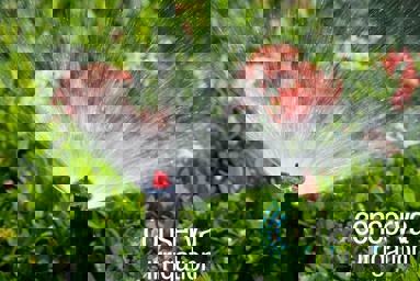 Close Up OF Sprinkler Head Spraying Water Close Up OF Sprinkler Head Spraying Water